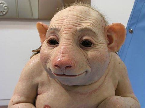 Swine Flu.jpg