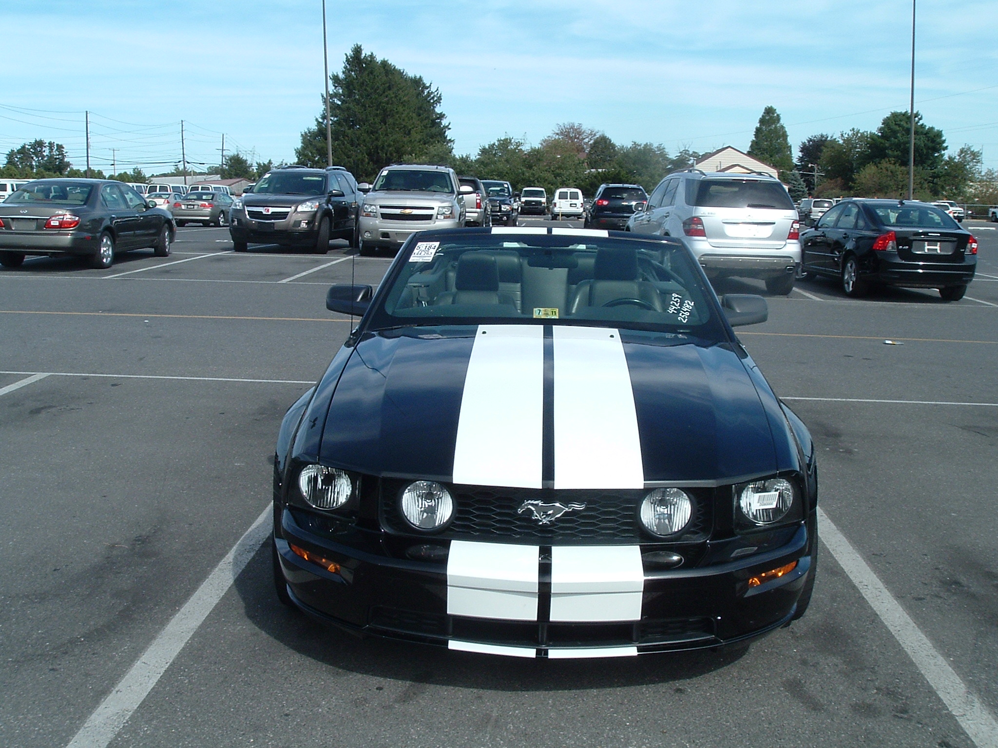 2006gt1 002.JPG