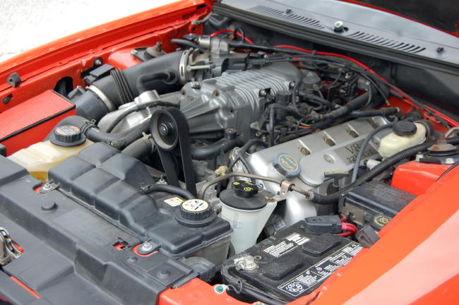 Image110.jpg