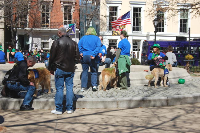 Image317.jpg