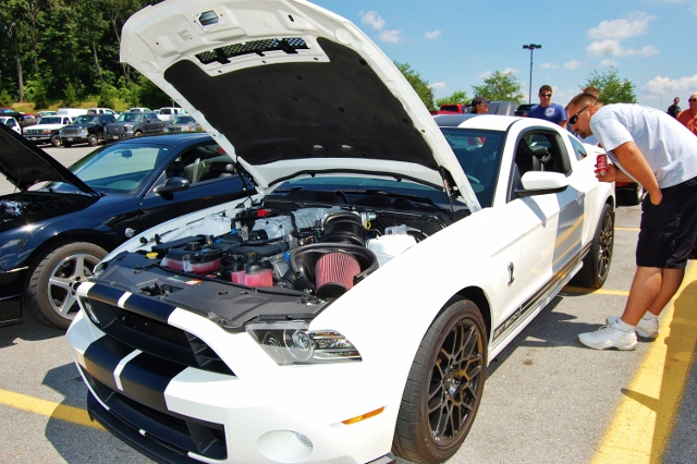 DSC_0374 (640x426).jpg