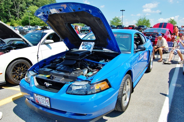 DSC_0373 (640x426).jpg