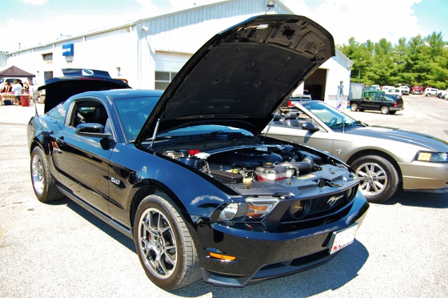 DSC_0377 (640x426).jpg