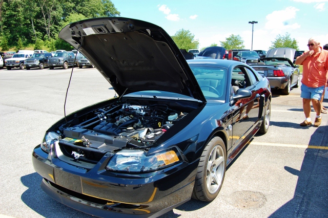 DSC_0375 (640x426).jpg