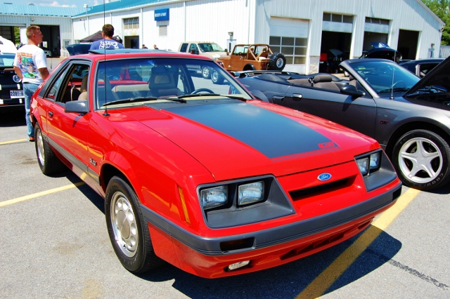 DSC_0379 (640x426).jpg