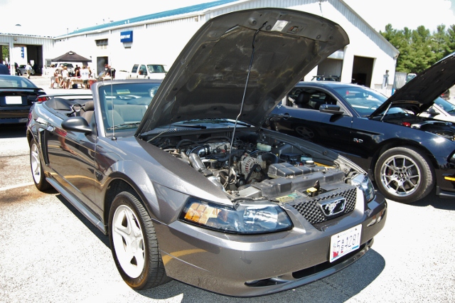 DSC_0378 (640x426).jpg