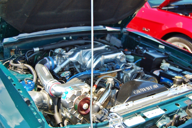 DSC_0382 (640x426).jpg