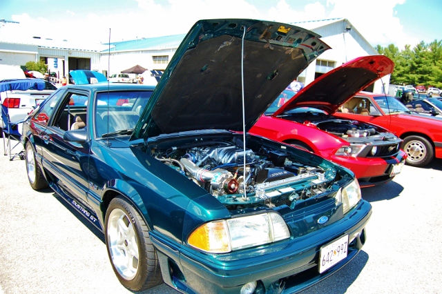 DSC_0381 (640x426).jpg