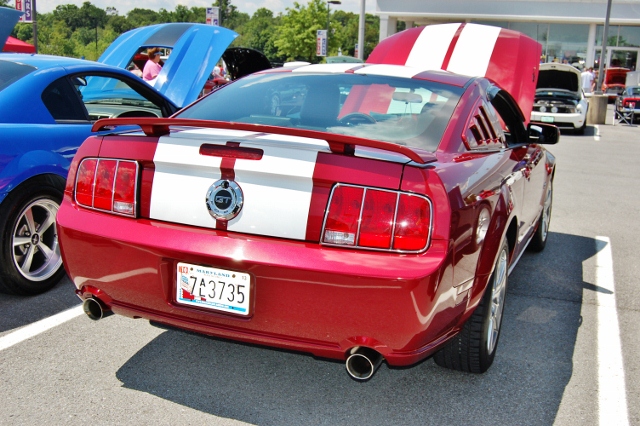 DSC_0388 (640x426).jpg