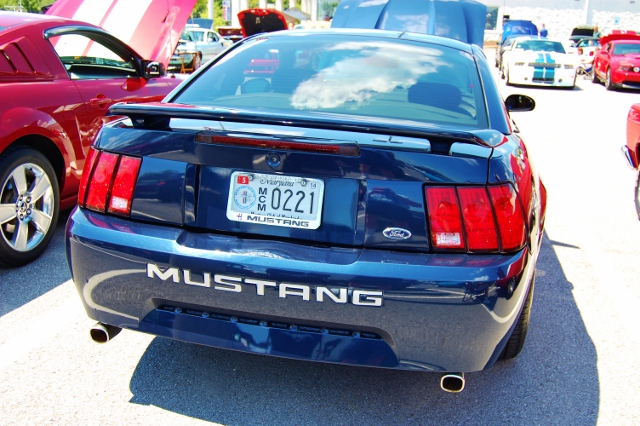 DSC_0387 (640x426).jpg