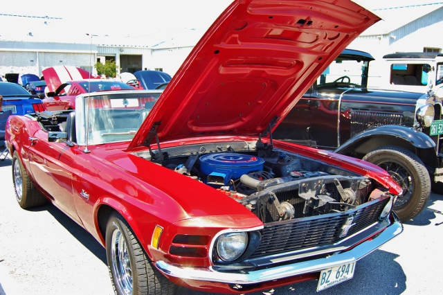 DSC_0391 (640x426).jpg