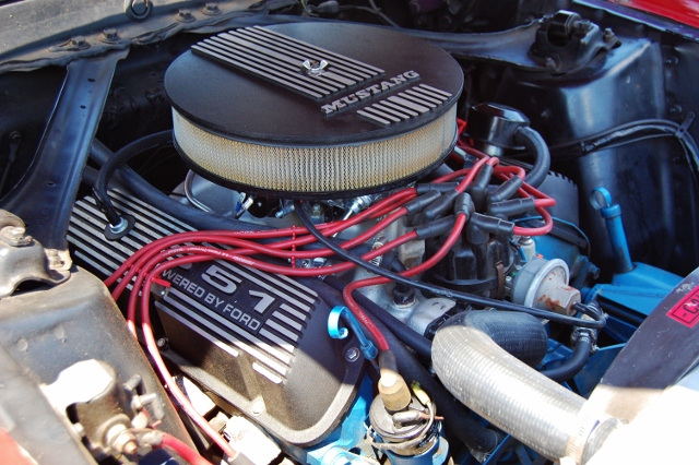 DSC_0394 (640x426).jpg