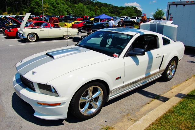 DSC_0396 (640x426).jpg