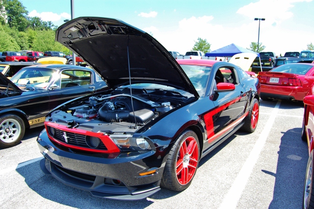 DSC_0401 (640x426).jpg