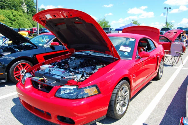 DSC_0400 (640x426).jpg