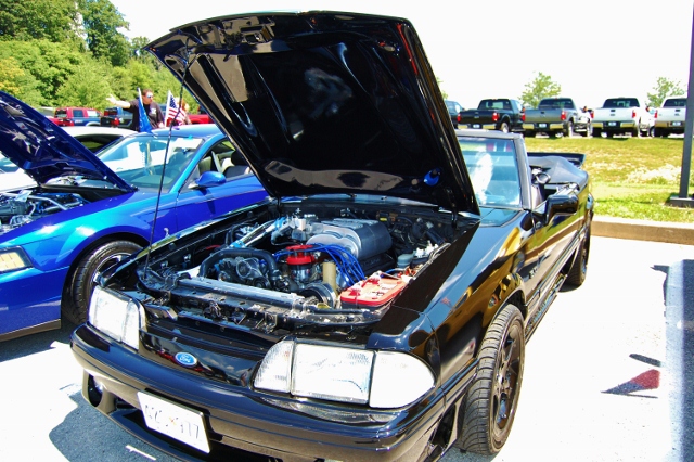 DSC_0405 (640x426).jpg