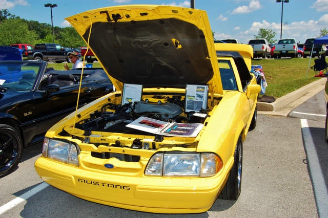 DSC_0404 (640x426).jpg