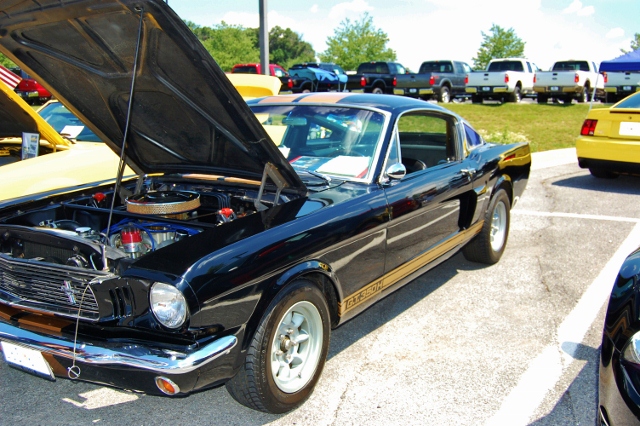 DSC_0403 (640x426).jpg