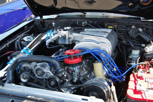 DSC_0406 (640x426).jpg
