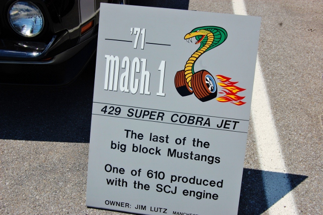 DSC_0413 (640x426).jpg