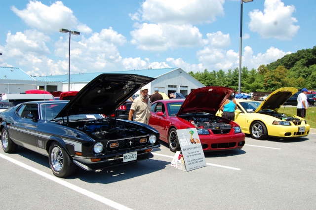 DSC_0420 (640x426).jpg