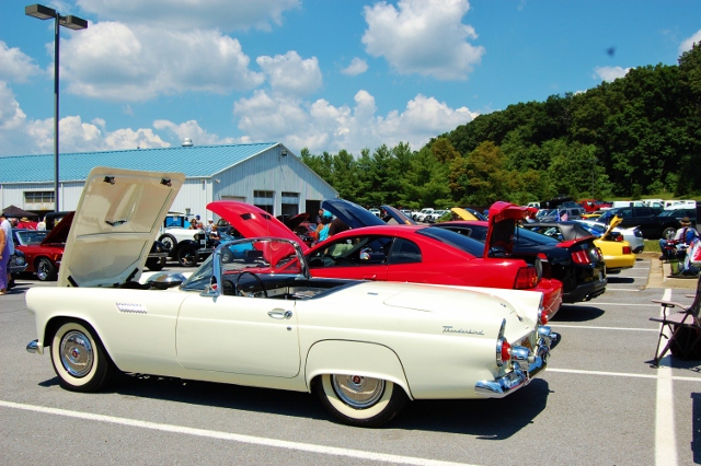DSC_0421 (640x426).jpg