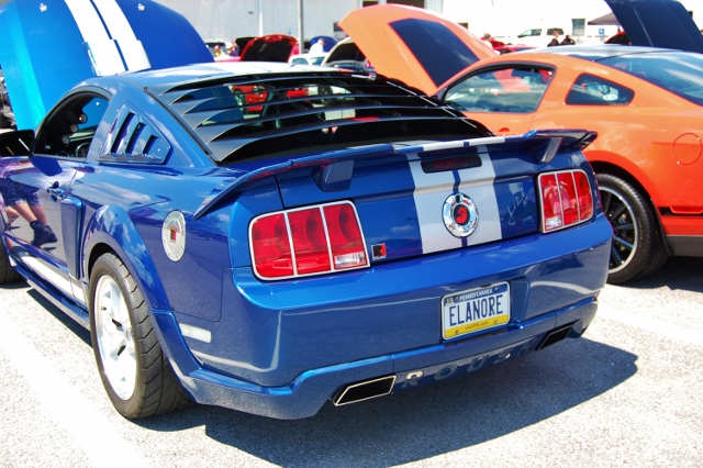 DSC_0426 (640x426).jpg