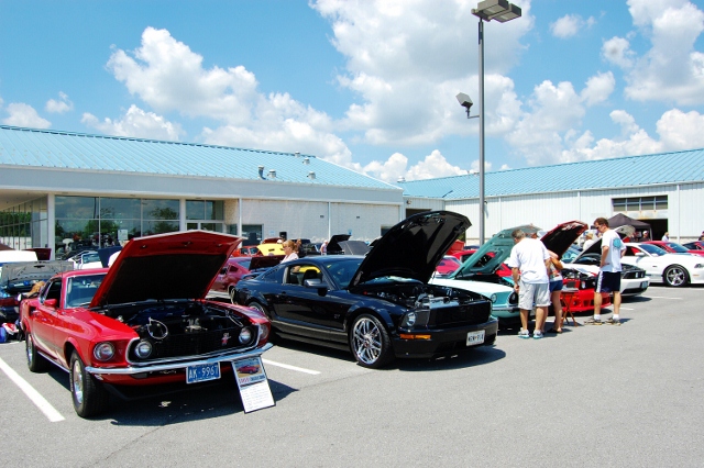 DSC_0428 (640x426).jpg