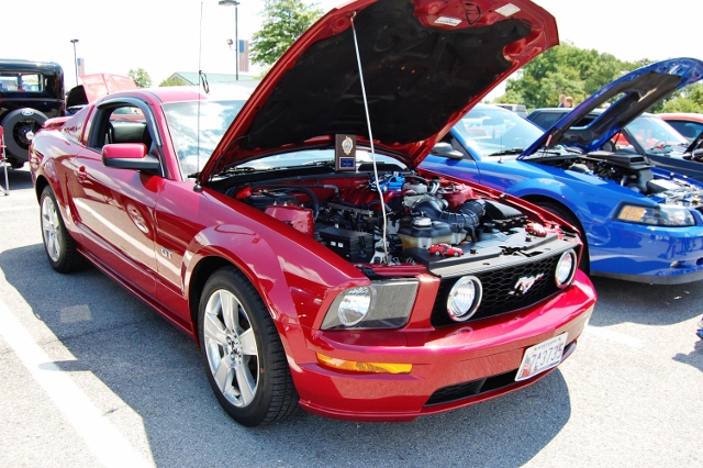 DSC_0435 (640x426).jpg