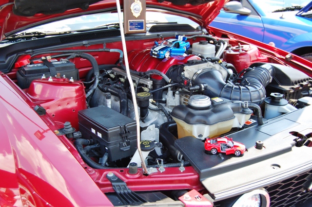 DSC_0434 (640x426).jpg