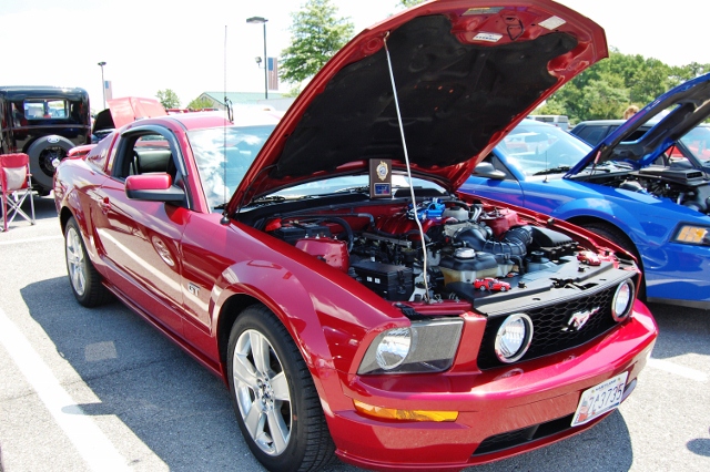 DSC_0433 (640x426).jpg