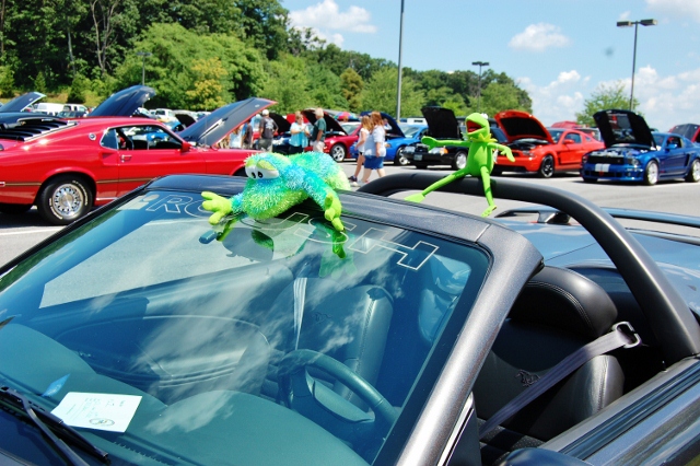 DSC_0438 (640x426).jpg