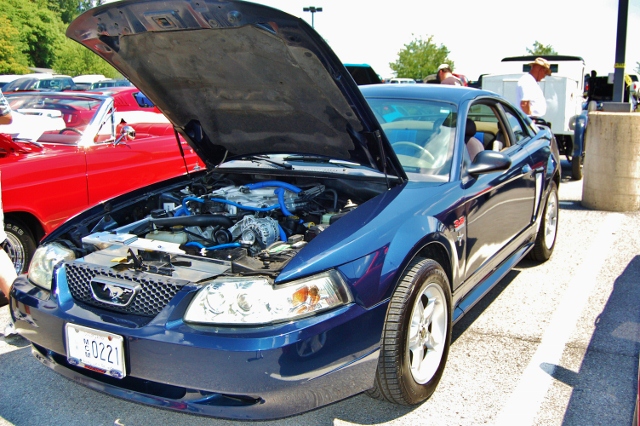 DSC_0436 (640x426).jpg