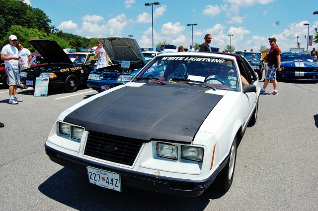 DSC_0447 (640x426).jpg