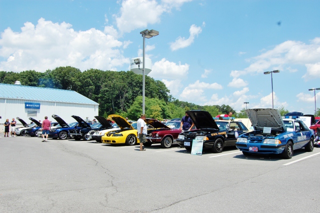 DSC_0483 (640x426).jpg