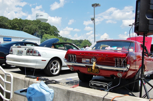 DSC_0481 (640x426).jpg