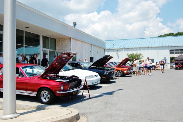 DSC_0486 (640x426).jpg