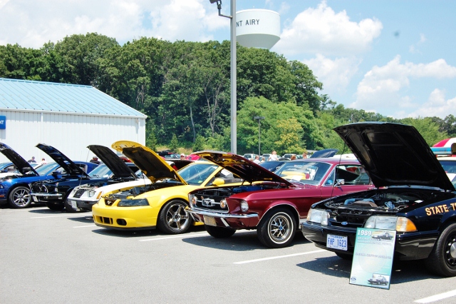 DSC_0488 (640x426).jpg