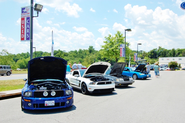 DSC_0487 (640x426).jpg