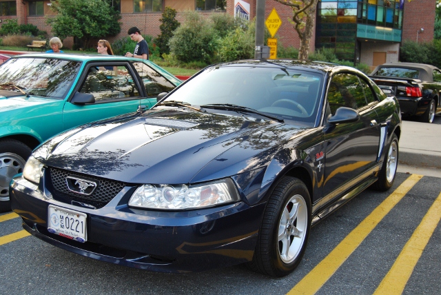 DSC_5075 (640x428).jpg