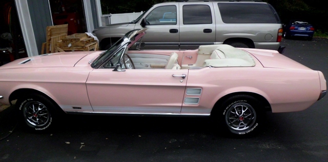 Pink Stang.jpg
