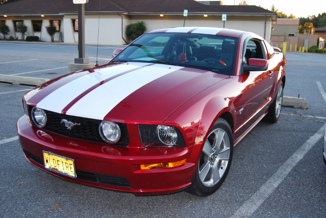 DSC_5809 (640x428).jpg