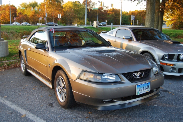 DSC_5815 (640x428).jpg