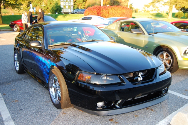 DSC_5822 (640x428).jpg