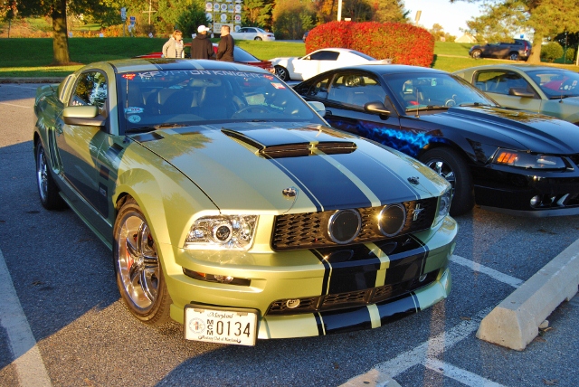 DSC_5821 (640x428).jpg