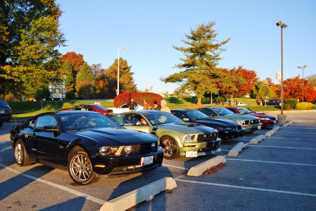 DSC_5820 (640x428).jpg