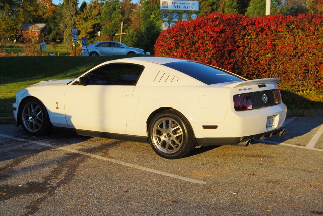DSC_5826 (640x428).jpg