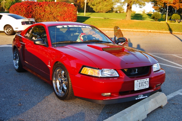 DSC_5824 (640x428).jpg