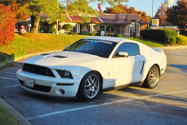 DSC_5828 (640x428).jpg