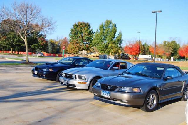 DSC_5844 (640x428).jpg